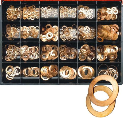 Champion Master Kit 565pc Fuel Inject Copper Washer Asst