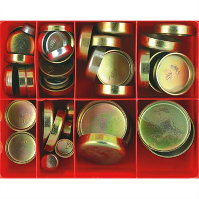 Champion 52pc Imperial Steel Frost Plug Assortment**