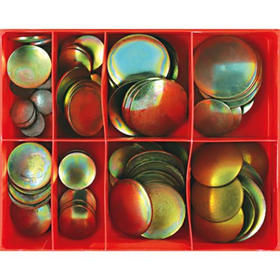 Champion 100pc Lens Type Steel Exp Plug Assortment****