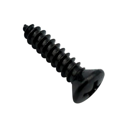 Champion 6G x 1in S/Tapping Screw Raised Head PH - 100pk
