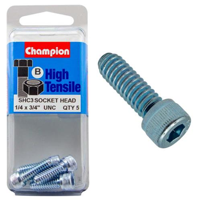 Champion Socket HD Set Screw 1/4in x 3/4in (B) - GR5