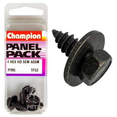 Champion 12G x 3/4in Hex /Ph S/Tap Set Screw -4pk