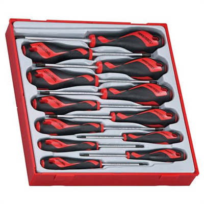 Teng 12pc MD TX Screwdriver Set - TTD-Tray