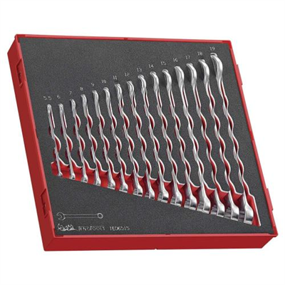 Teng 15pc Comb Spanner Set 5.5-19mm - TED-Tray