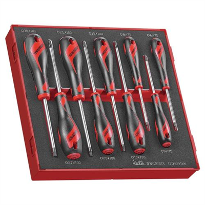 Teng 9pc MD TX Screwdriver Set 6-30 - TED-Tray