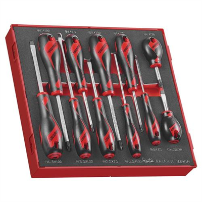 Teng 11pc MD Screwdriver Set - TED-Tray
