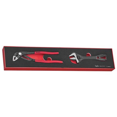 Teng 2pc Plier/Adjustable Wrench Set - TEX-Tray**
