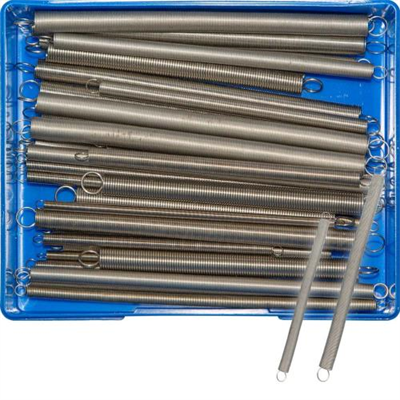 Champion 36pc Accelerator Spring Assortment – S/Steel