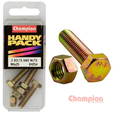 Champion Hex Set Screws M6 x 25mm & Nuts-M6 x 1mm