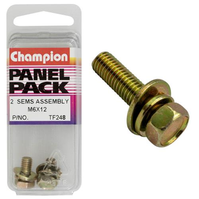 Champion Hex Set Screw Sems Hex Ind Flat/Spring Washer M6x12