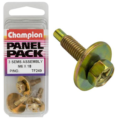 Champion Hex Set Screw Sems Flat Washer Pilot M6x18