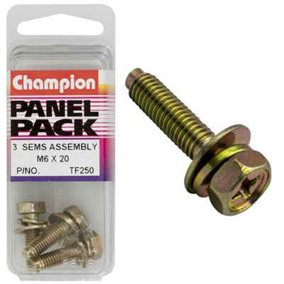Champion Hex Set Screw Sems Flat/Spring Washer Pilot M6X20