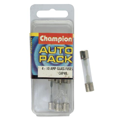 10 Amp Glass Fuses****
