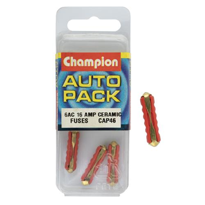 6 AC 16amp Ceramic Fuses****