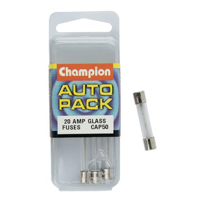 20 Amp Glass Fuses****