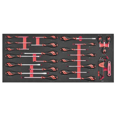 Teng 39pcScrewdriver Set Mixed FOAM6X6
