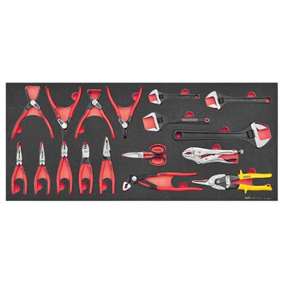 Teng 17pc Plier Set FOAM6X6