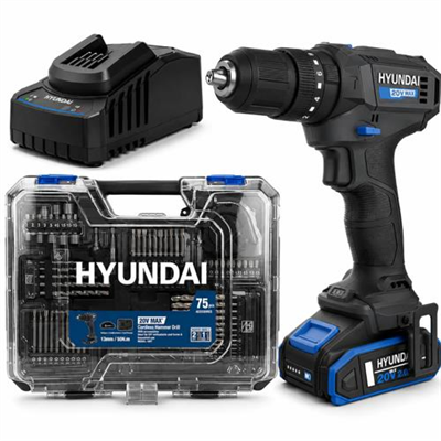 Hyundai 20V 50Nm Hammer Drill Complete Kit